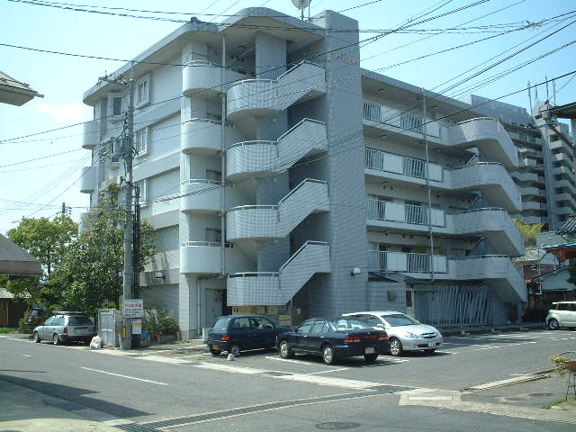 260画像